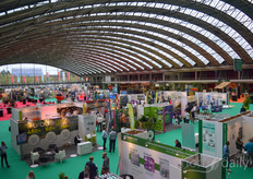 Hall overview Thursday afternoon, the first drinks started